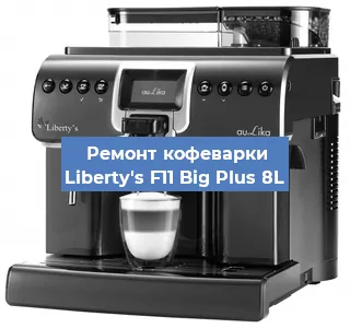 Замена прокладок на кофемашине Liberty's F11 Big Plus 8L в Тюмени